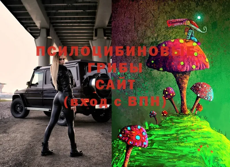 Псилоцибиновые грибы Cubensis  Мегион 